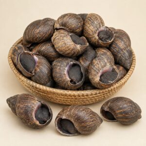 Whole Giant African Snail, In Shell (1kg)